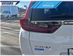 2022 Honda CR-V LX (Stk: P6066) in Dartmouth - Image 10 of 24