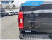 2021 Ford F-150 XLT (Stk: P3198L) in Dartmouth - Image 9 of 23