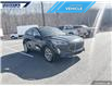 2021 Ford Escape Titanium (Stk: P5334) in Dartmouth - Image 6 of 24