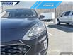 2021 Ford Escape Titanium (Stk: P5334) in Dartmouth - Image 8 of 24