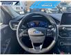 2021 Ford Escape Titanium (Stk: P5334) in Dartmouth - Image 13 of 24