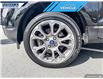 2022 Ford EcoSport Titanium (Stk: P7335L) in Dartmouth - Image 7 of 24