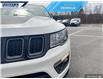 2021 Jeep Compass Trailhawk (Stk: P0174) in Dartmouth - Image 8 of 24
