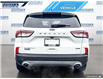 2020 Ford Escape Titanium Hybrid (Stk: P9481) in Dartmouth - Image 5 of 24