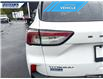 2020 Ford Escape Titanium Hybrid (Stk: P9481) in Dartmouth - Image 10 of 24