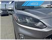 2022 Ford Escape SEL (Stk: P5191L) in Dartmouth - Image 9 of 24