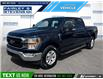 2022 Ford F-150 XLT (Stk: P4123L) in Dartmouth - Image 1 of 24