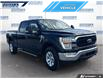 2022 Ford F-150 XLT (Stk: P4123L) in Dartmouth - Image 6 of 24 2022 Ford F-150 XLT (Stk: P4123L) in Dartmouth - Image 6 of 24