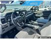 2022 Ford F-150 XLT (Stk: P4123L) in Dartmouth - Image 12 of 24 2022 Ford F-150 XLT (Stk: P4123L) in Dartmouth - Image 12 of 24