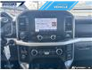 2022 Ford F-150 XLT (Stk: P4123L) in Dartmouth - Image 18 of 24 2022 Ford F-150 XLT (Stk: P4123L) in Dartmouth - Image 18 of 24