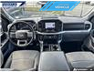 2022 Ford F-150 XLT (Stk: P4123L) in Dartmouth - Image 23 of 24 2022 Ford F-150 XLT (Stk: P4123L) in Dartmouth - Image 23 of 24
