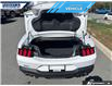 2024 Ford Mustang GT Premium (Stk: P4418) in Dartmouth - Image 11 of 25