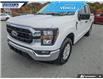 2023 Ford F-150 XLT (Stk: P7484LA) in Dartmouth - Image 7 of 26