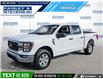 2023 Ford F-150 XLT (Stk: P7484LA) in Dartmouth - Image 1 of 26