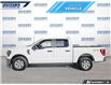 2023 Ford F-150 XLT (Stk: P7484LA) in Dartmouth - Image 3 of 26