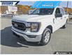 2023 Ford F-150 XLT (Stk: P7484LA) in Dartmouth - Image 8 of 26