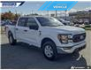 2023 Ford F-150 XLT (Stk: P7484LA) in Dartmouth - Image 26 of 26