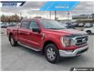 2022 Ford F-150 XLT (Stk: P6497) in Dartmouth - Image 24 of 24