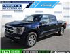 2023 Ford F-150 Platinum (Stk: P5541) in Dartmouth - Image 1 of 24