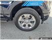 2023 Ford F-150 Platinum (Stk: P5541) in Dartmouth - Image 6 of 24