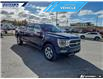 2023 Ford F-150 Platinum (Stk: P5541) in Dartmouth - Image 24 of 24