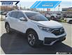 2022 Honda CR-V LX (Stk: P8783) in Dartmouth - Image 9 of 24