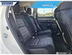 2022 Honda CR-V LX (Stk: P8783) in Dartmouth - Image 22 of 24