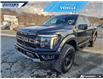 2025 Ford F-150 Raptor (Stk: P8087L) in Dartmouth - Image 7 of 24