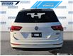 2020 Volkswagen Tiguan Highline (Stk: P3452) in Dartmouth - Image 5 of 24