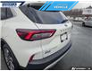 2025 Ford Escape Platinum (Stk: P3626) in Dartmouth - Image 9 of 24
