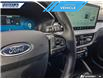 2025 Ford Escape Platinum (Stk: P3626) in Dartmouth - Image 14 of 24