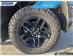 2022 Chevrolet Silverado 1500 LTD LT Trail Boss (Stk: P8725A) in Dartmouth - Image 7 of 24