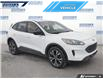 2021 Ford Escape SE (Stk: P8643L) in Dartmouth - Image 6 of 24