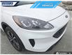 2021 Ford Escape SE (Stk: P8643L) in Dartmouth - Image 9 of 24