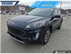 2022 Ford Escape SEL (Stk: P0770B) in Dartmouth - Image 7 of 24