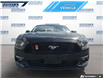 2015 Ford Mustang GT Premium (Stk: P4431A) in Dartmouth - Image 2 of 24