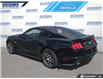 2015 Ford Mustang GT Premium (Stk: P4431A) in Dartmouth - Image 4 of 24