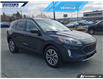 2022 Ford Escape SEL (Stk: P2133A) in Dartmouth - Image 24 of 24