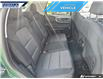 2024 Ford Bronco Sport Big Bend (Stk: P9719) in Dartmouth - Image 22 of 24 2024 Ford Bronco Sport Big Bend (Stk: P9719) in Dartmouth - Image 22 of 24