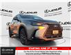 2025 Lexus NX 250 Base (Stk: 14108713) in Markham - Image 1 of 15