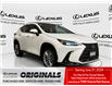 2025 Lexus NX 350h  (Stk: 14111816A) in Markham - Image 1 of 29