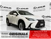 2024 Lexus NX 350  (Stk: 14U7411) in Markham - Image 1 of 29