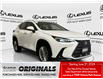 2024 Lexus NX 350  (Stk: 14112373A) in Markham - Image 1 of 29