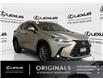 2022 Lexus NX 350h  (Stk: 14112637A) in Markham - Image 1 of 24