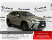 2025 Lexus NX 350  (Stk: 14U7702) in Markham - Image 1 of 27