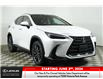2025 Lexus NX 350  (Stk: 14109745) in Markham - Image 1 of 21