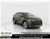 2026 Lexus NX 350  (Stk: 14111943) in Markham - Image 1 of 18