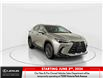 2026 Lexus NX 350h  (Stk: 14111968) in Markham - Image 1 of 19