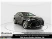 2026 Lexus NX 350 Base (Stk: 14112198) in Markham - Image 1 of 17