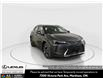 2026 Lexus UX 300h  (Stk: 14112416) in Markham - Image 1 of 19